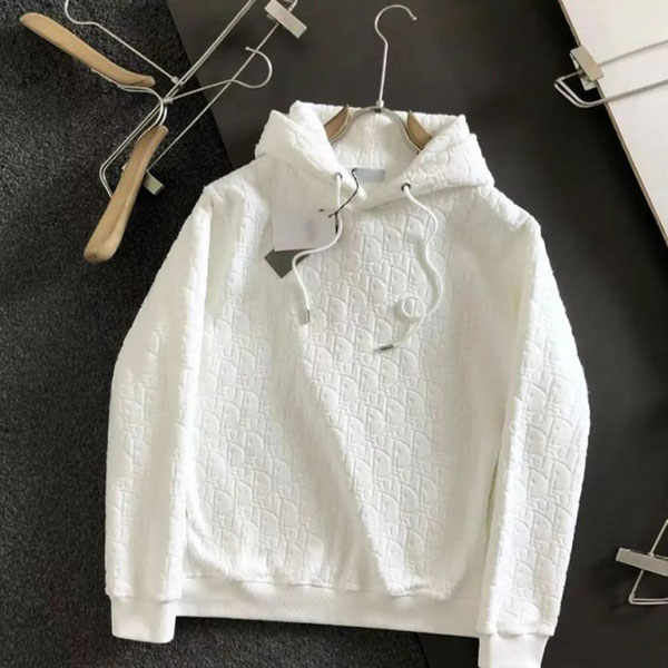 Dior Hoodie AA45007015