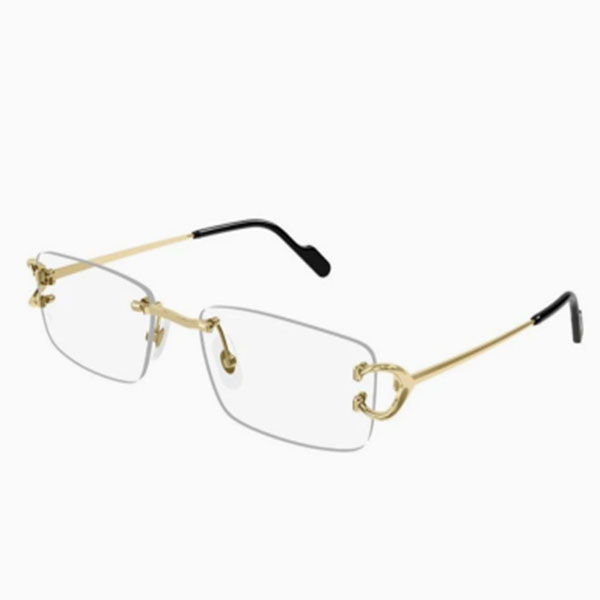 Cartier Glasses  DO55136002