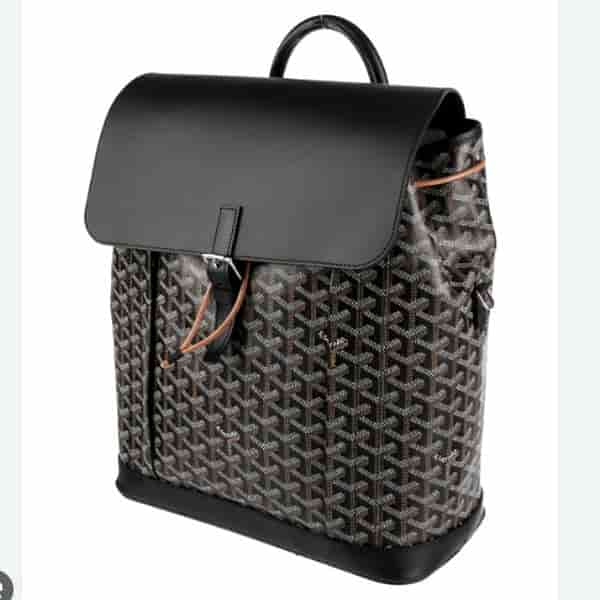 GOYARD Goyardine Alpin Backpack BC20014016