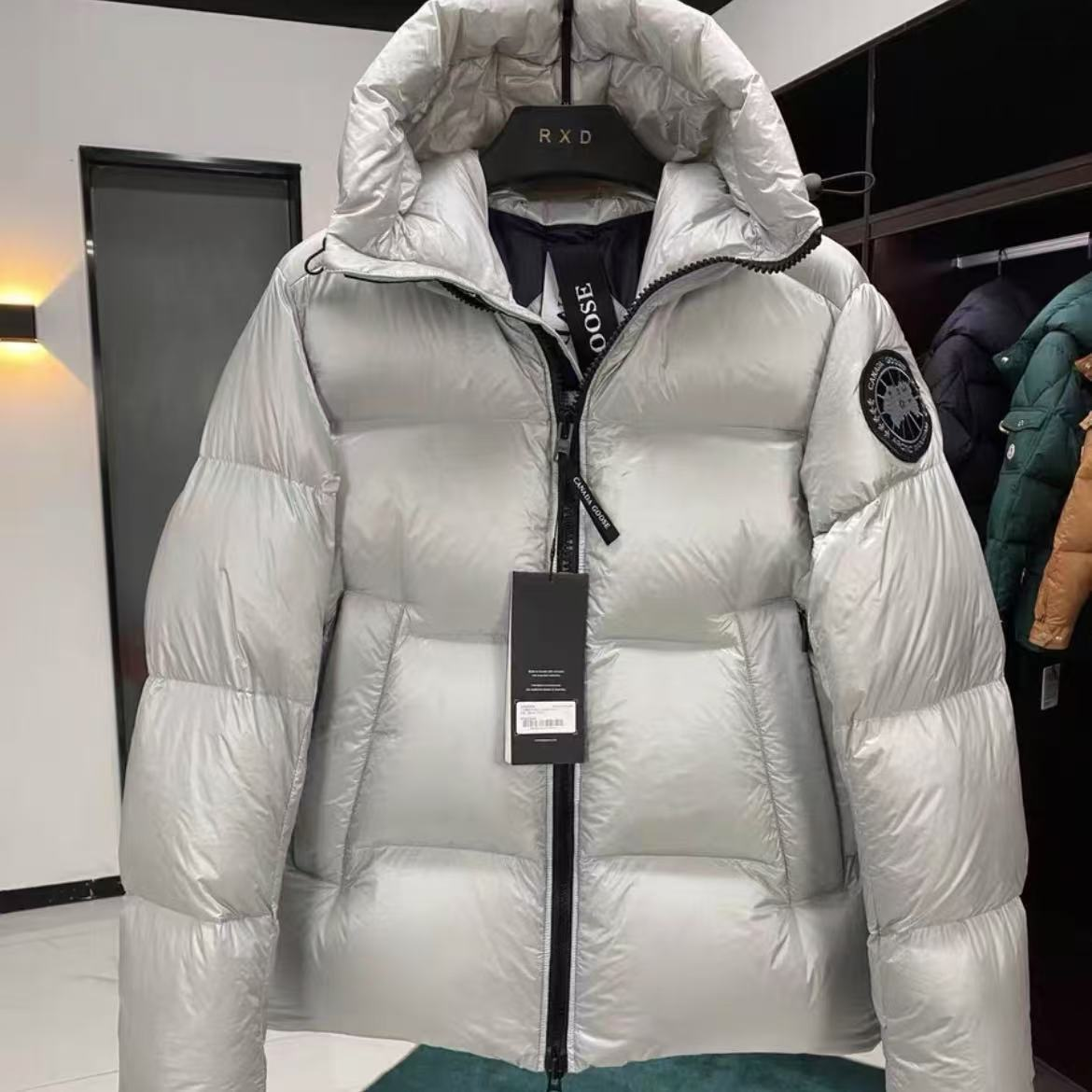 Canada Goose Hooded Down Jacket AE80028018