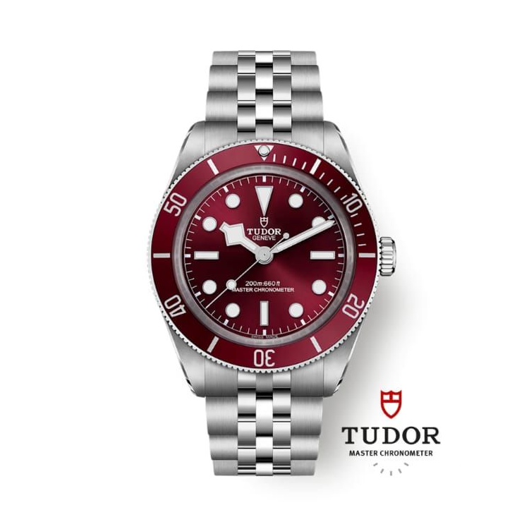 Tudor Black Bay watch GD60015001