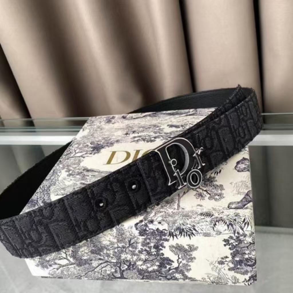 Dior Embroidered Belt Metal Buckle DA30212005